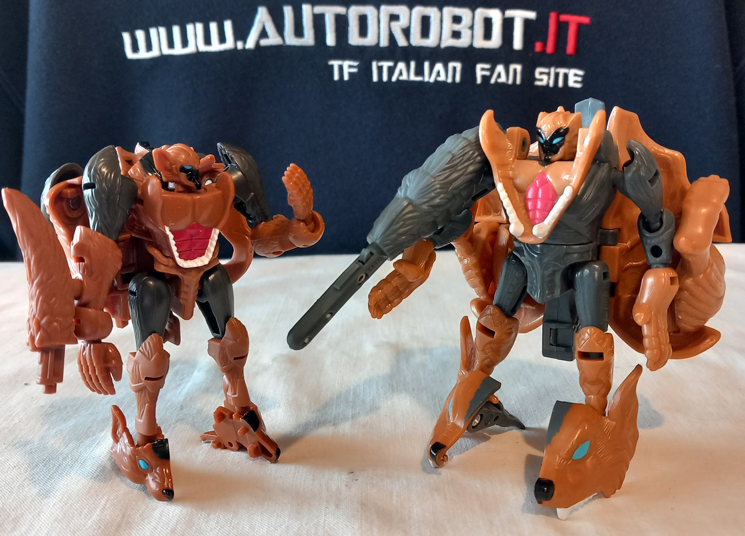 20240225_091604.jpg